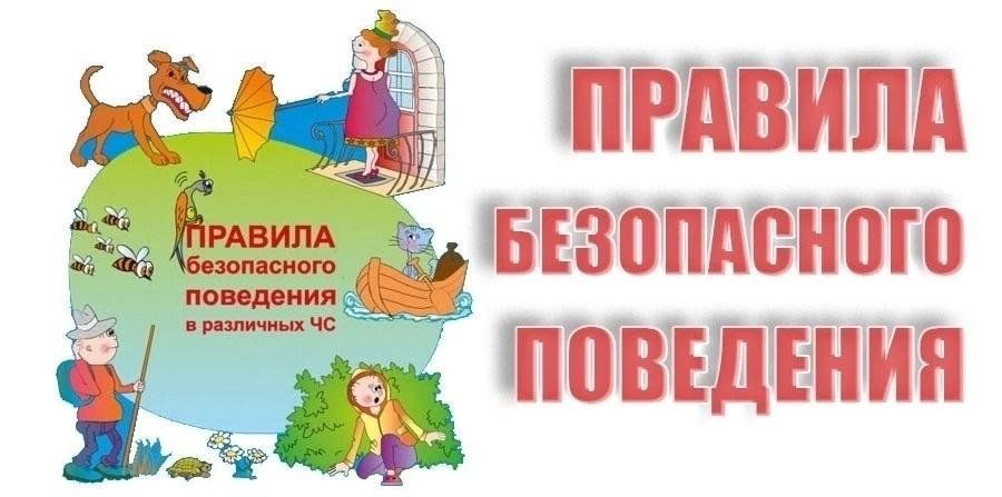 Правила безопасности! Правила безопасности!.